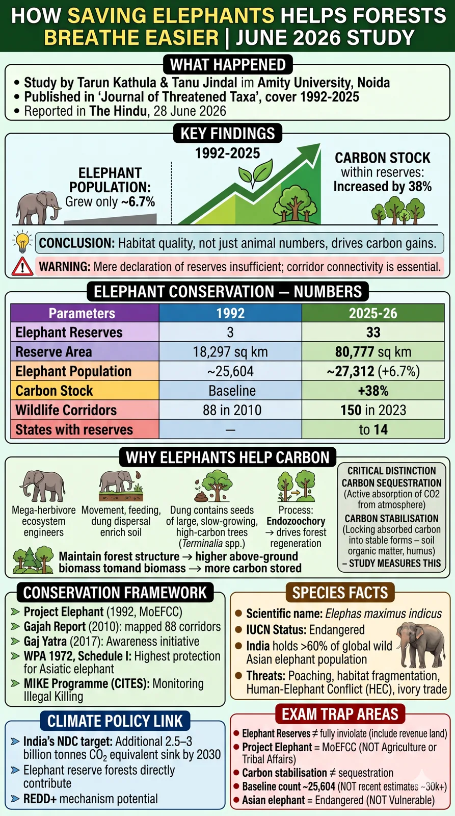 How saving elephants helps forests breathe easier